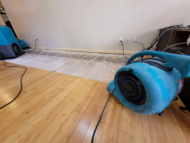 Professional Flood Damage Cleanup technician working in Sullivan, IN